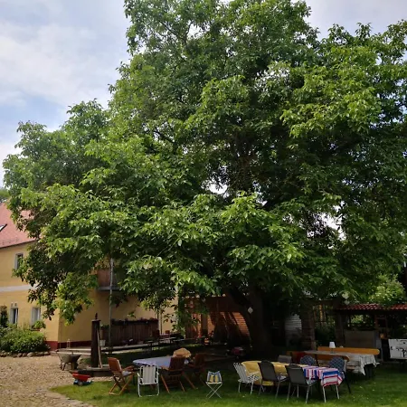 Gaestehaus Liemehna Penzion *